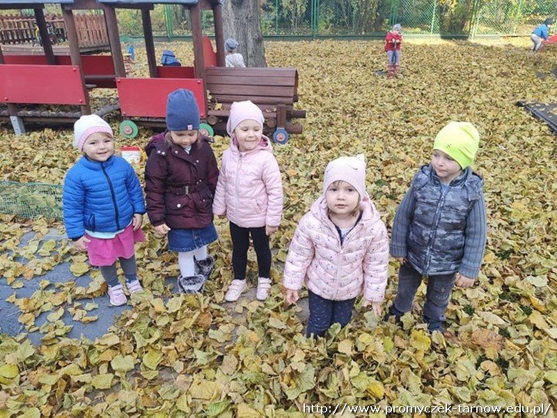 78370897 2679258395472564 2719873046184722432 n