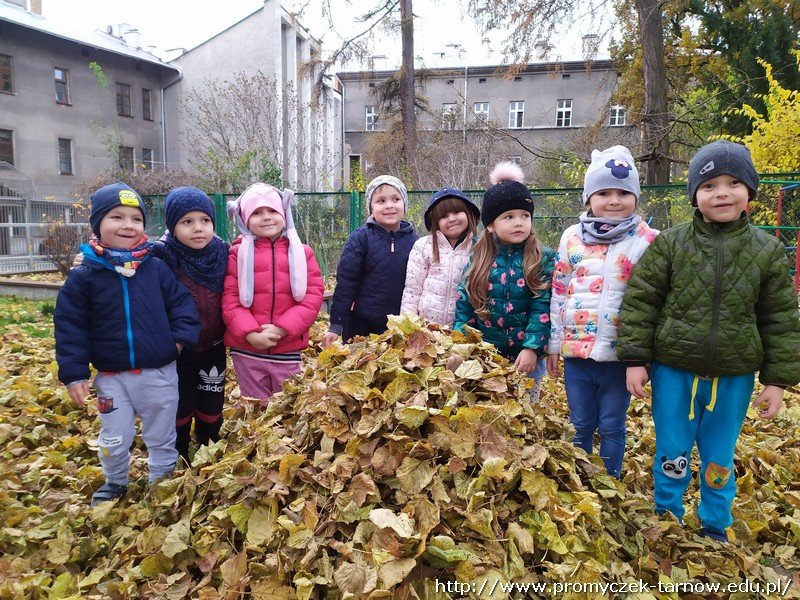 IMG 20191118 133518 1