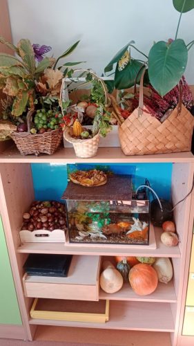 WhatsApp-Image-2025-10-01-at-20.10.49