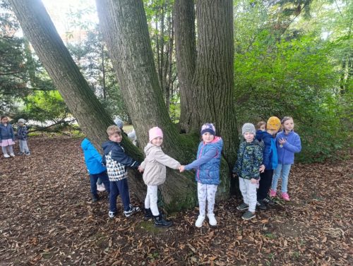 WhatsApp-Image-2025-10-08-at-16.02.00-1