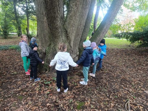 WhatsApp-Image-2025-10-08-at-16.02.00-3 (1)