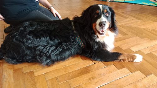 WhatsApp-Image-2025-10-09-at-19.44.09