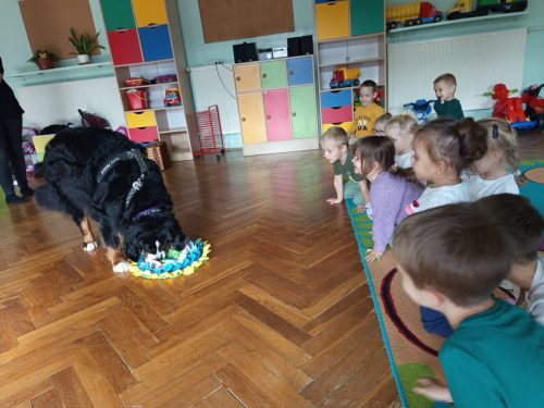 WhatsApp-Image-2025-10-10-at-06.32.13