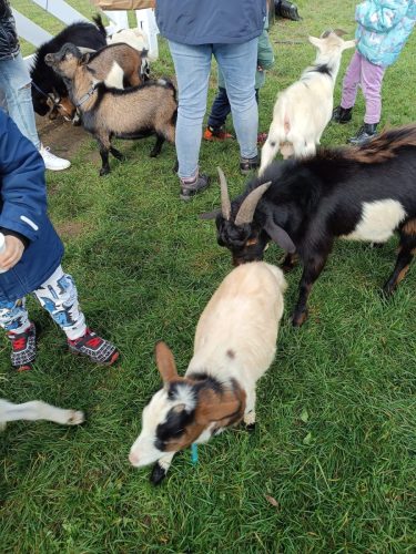 WhatsApp-Image-2025-10-16-at-13.45.38-2