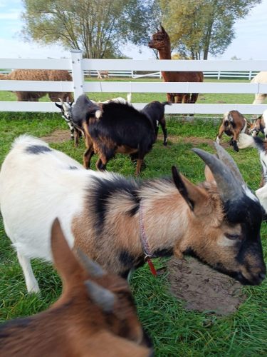 WhatsApp-Image-2025-10-16-at-13.45.38