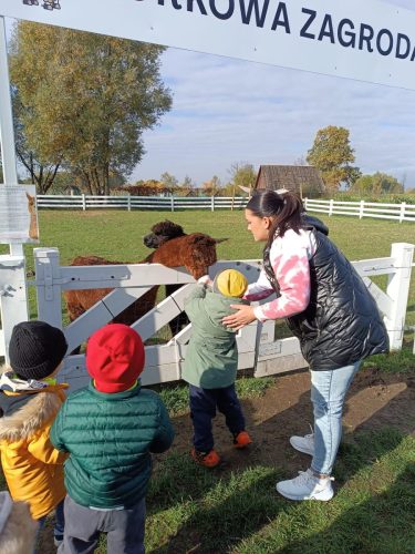 WhatsApp-Image-2025-10-16-at-13.45.39-1