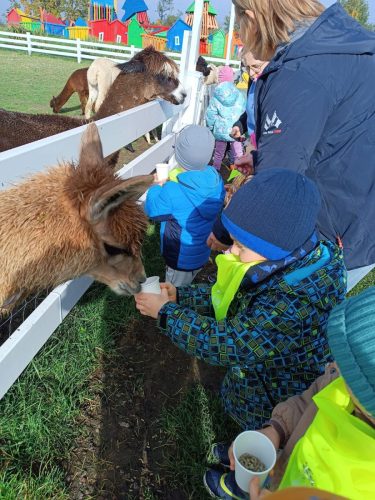 WhatsApp-Image-2025-10-16-at-13.45.39