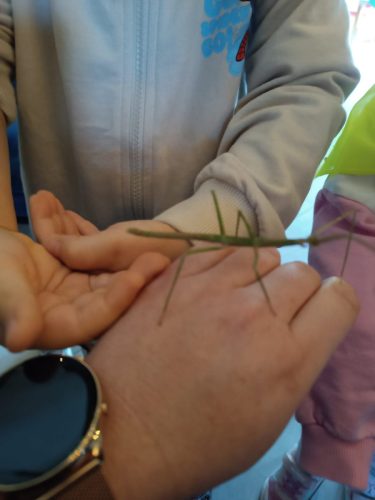 WhatsApp-Image-2025-10-16-at-13.45.40-1