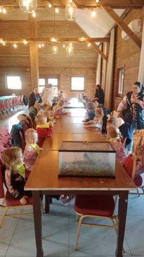 WhatsApp-Image-2025-10-17-at-07.22.25