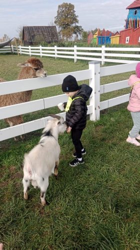 WhatsApp-Image-2025-10-17-at-07.22.30-1