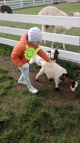 WhatsApp-Image-2025-10-17-at-07.22.30