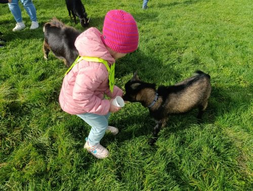 WhatsApp-Image-2025-10-17-at-10.54.39-1