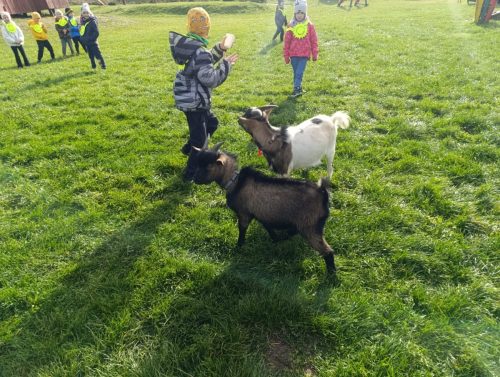 WhatsApp-Image-2025-10-17-at-10.54.39-2