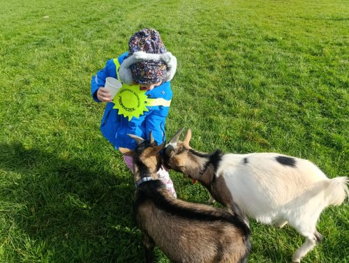 WhatsApp-Image-2025-10-17-at-10.54.39