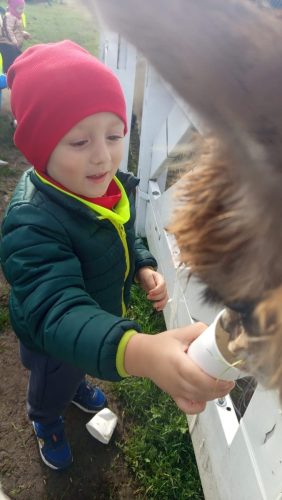 WhatsApp-Image-2025-10-20-at-16.22.02