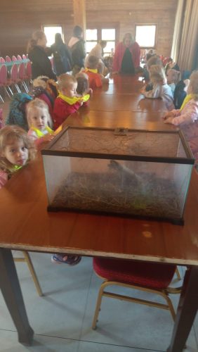 WhatsApp-Image-2025-10-20-at-16.22.03