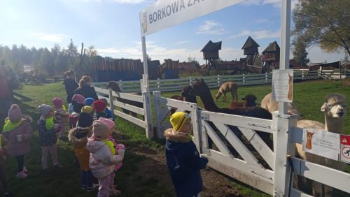 WhatsApp-Image-2025-10-20-at-16.22.04-2