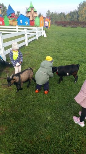 WhatsApp-Image-2025-10-20-at-16.22.05-1