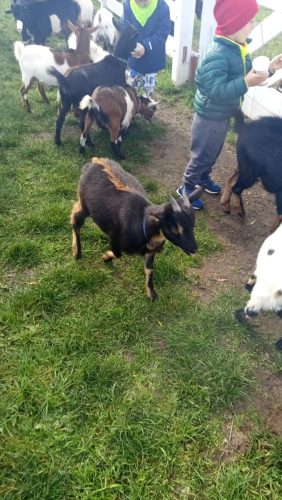 WhatsApp-Image-2025-10-20-at-16.22.07-2