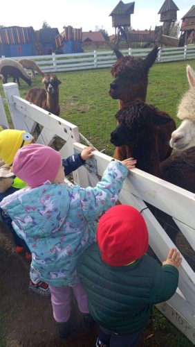 WhatsApp-Image-2025-10-20-at-16.22.08-1