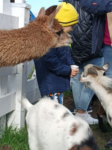 WhatsApp-Image-2025-10-20-at-16.22.10