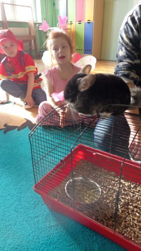 WhatsApp-Image-2026-02-10-at-06.09.51-1 (1)