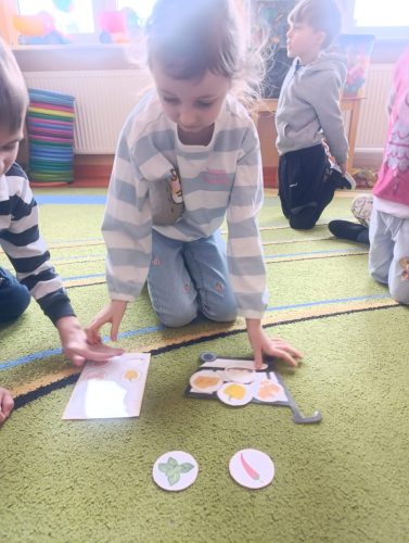 WhatsApp-Image-2026-02-10-at-06.39.54