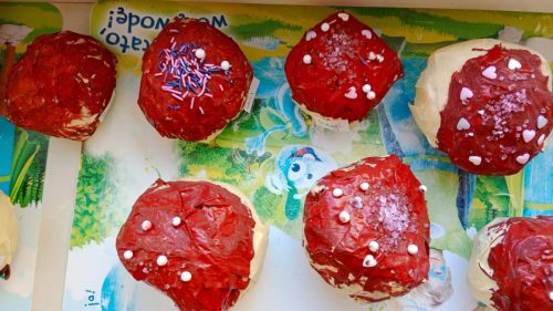 WhatsApp-Image-2026-02-13-at-06.49.55-4 (1)