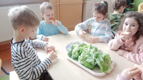 WhatsApp-Image-2026-02-23-at-06.12.51-1