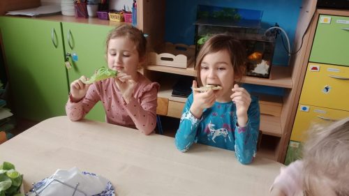 WhatsApp-Image-2026-02-23-at-06.12.51-2