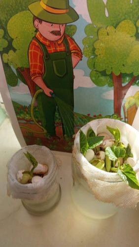 WhatsApp-Image-2026-03-19-at-16.39.35