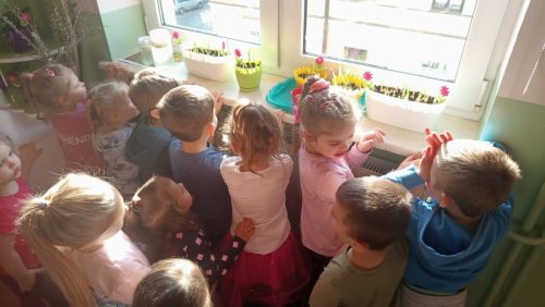 WhatsApp-Image-2026-03-19-at-16.39.36-1