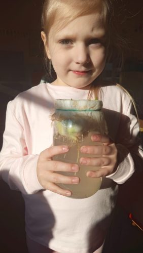 WhatsApp-Image-2026-03-19-at-16.39.36-4