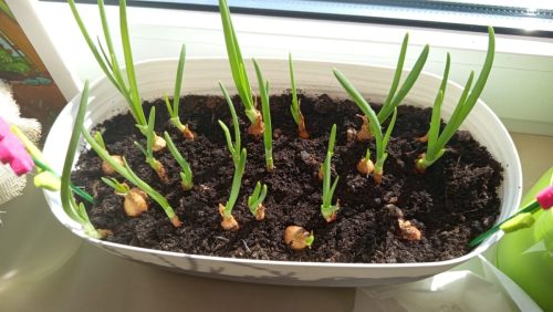 WhatsApp-Image-2026-03-19-at-16.39.36 (1)