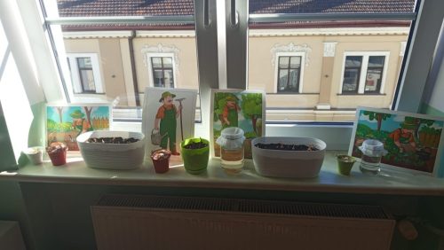 WhatsApp-Image-2026-03-19-at-16.39.37