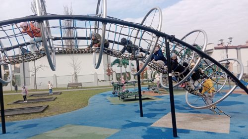 WhatsApp-Image-2026-03-20-at-11.16.50-2