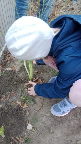 WhatsApp-Image-2026-03-23-at-06.08.02-1