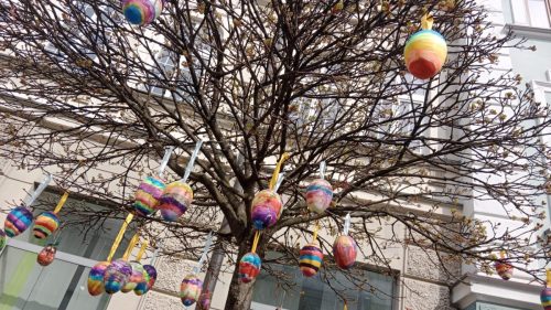 WhatsApp-Image-2026-03-26-at-07.13.08