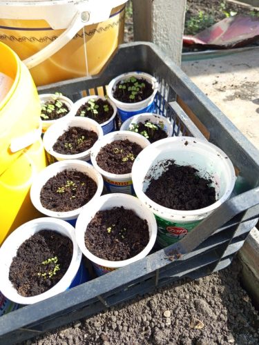 WhatsApp-Image-2026-03-30-at-15.19.17-2