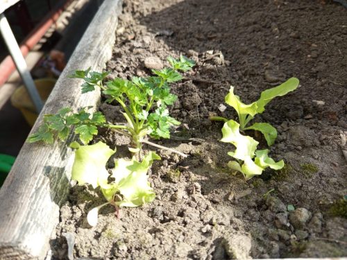 WhatsApp-Image-2026-03-30-at-15.19.38-1