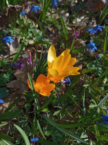 WhatsApp-Image-2026-03-30-at-15.19.39-2