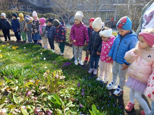 WhatsApp-Image-2026-03-30-at-15.19.39-3