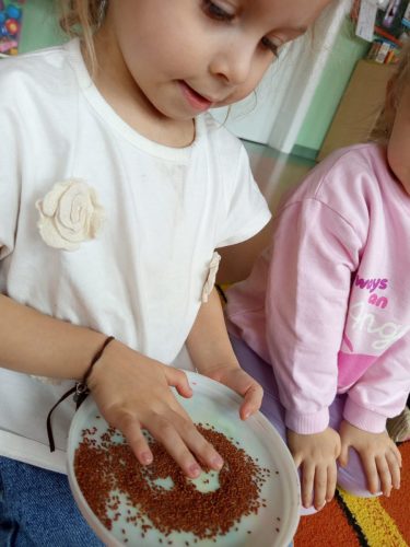 WhatsApp-Image-2026-03-30-at-15.19.39-5