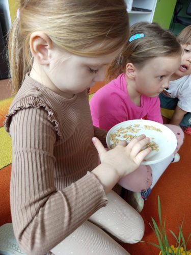 WhatsApp-Image-2026-03-30-at-15.19.39-7