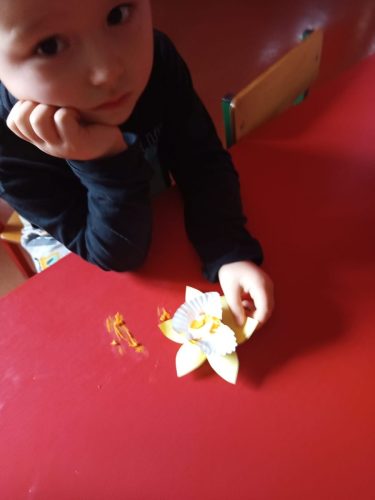 WhatsApp-Image-2026-04-02-at-14.44.14-5 (1) (1)