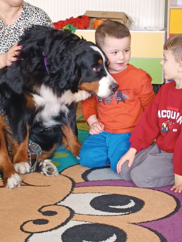 WhatsApp-Image-2026-04-17-at-16.01.32-2 (1)