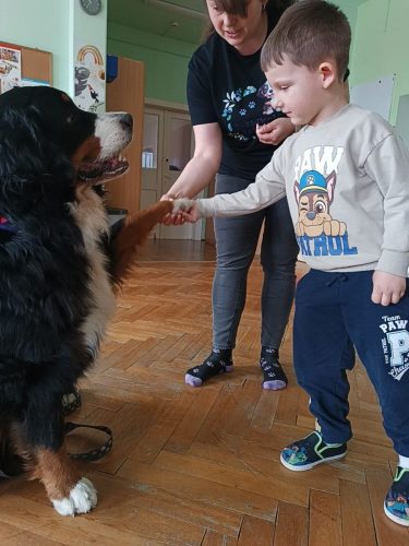 WhatsApp-Image-2026-04-17-at-16.01.32-3